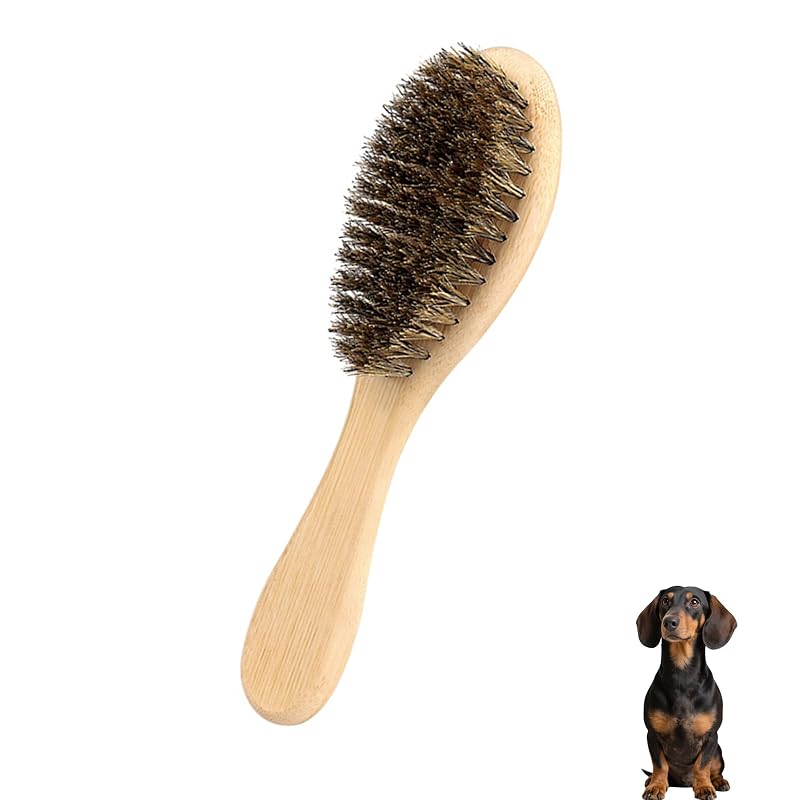 Escova para Cães de Pelo Curto com Cerdas Macias e Cabo de Bambu PetJoyHaven, Pequena