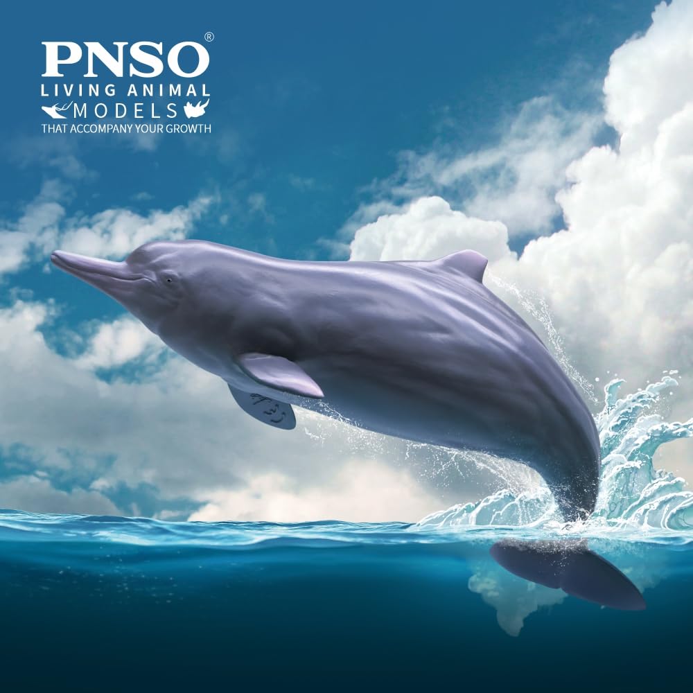 AMITD Living Animal:17 Xibao The Chinese White Dolphin