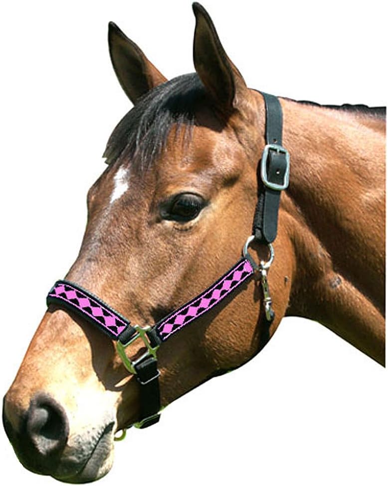 Intrepid International Leather Crown Diamond with Padded Nose Halter