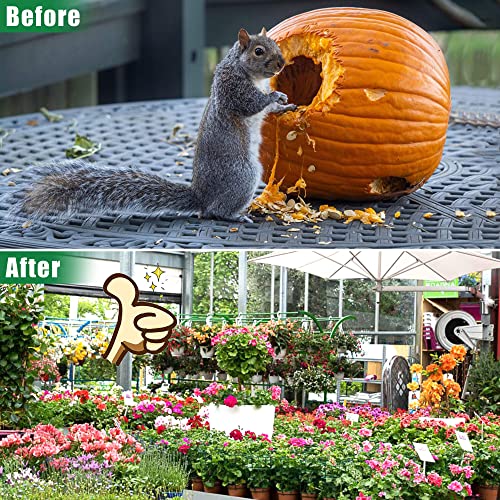 Motrapso 24 Pack Squirrel Repellent thumb #2