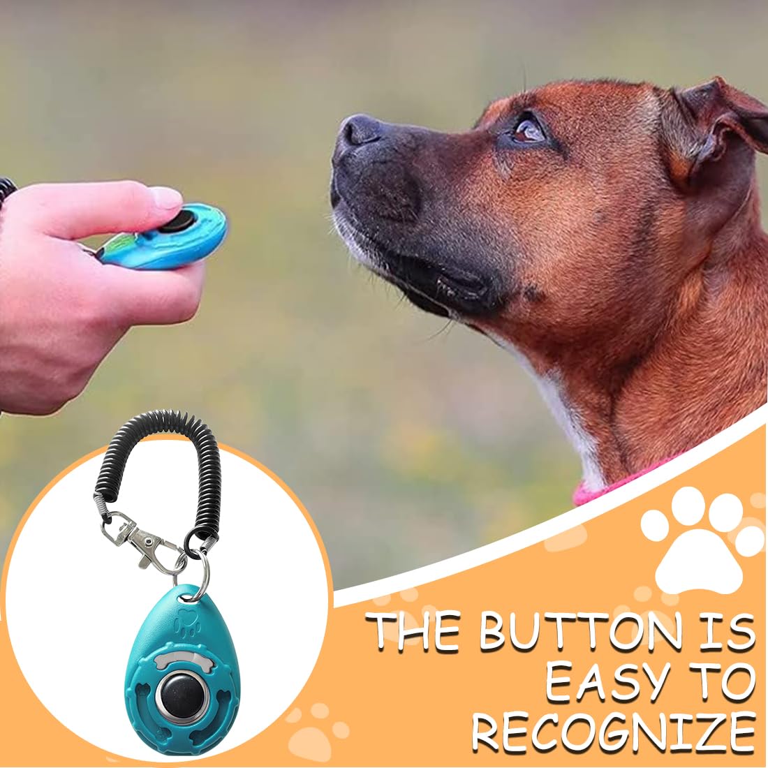5 Pezzi Clicker per Cani, Clicker per addestramento di animali domestici, Clicker Addestramento Cani Formazione Clicker con Cinturino da Polso per Cane,Gatto,Cavallo