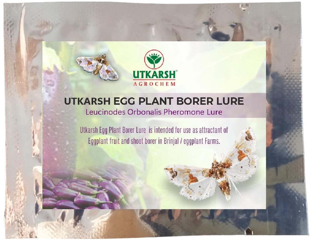 Utkarsh Egg Plant Borer Lure Leucinodes Orbonalis Pheromone Lure for Catching Insects/Moth of Brinjal Fruit and Shoot Borer in Brinjal Plant - 50 Lures (B0CMXQYXZQ) Amazon Price History, Amazon Price Tracker