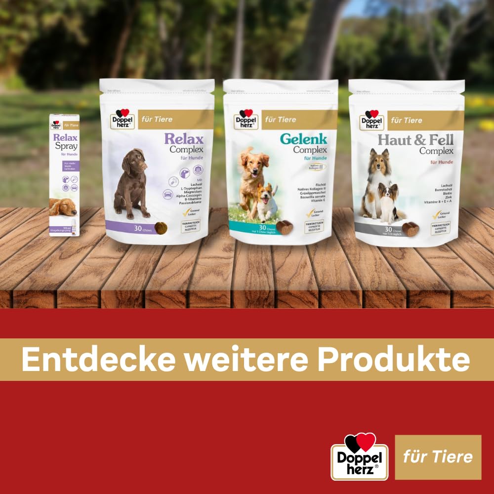 Doppelherz für Tiere Haut und Fell Complex für Hunde