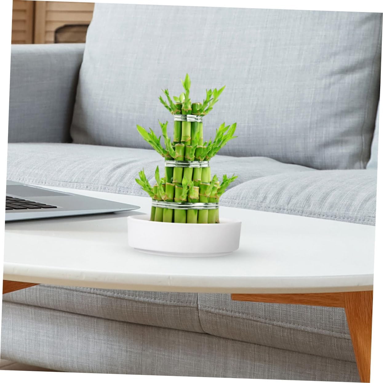 6pcs Ceramic Plant Saucer Trays for Indoor Use Heavy Duty Drip Trays for Potted Plants and Flower Pot Bottom Plates Prevents Water Staining