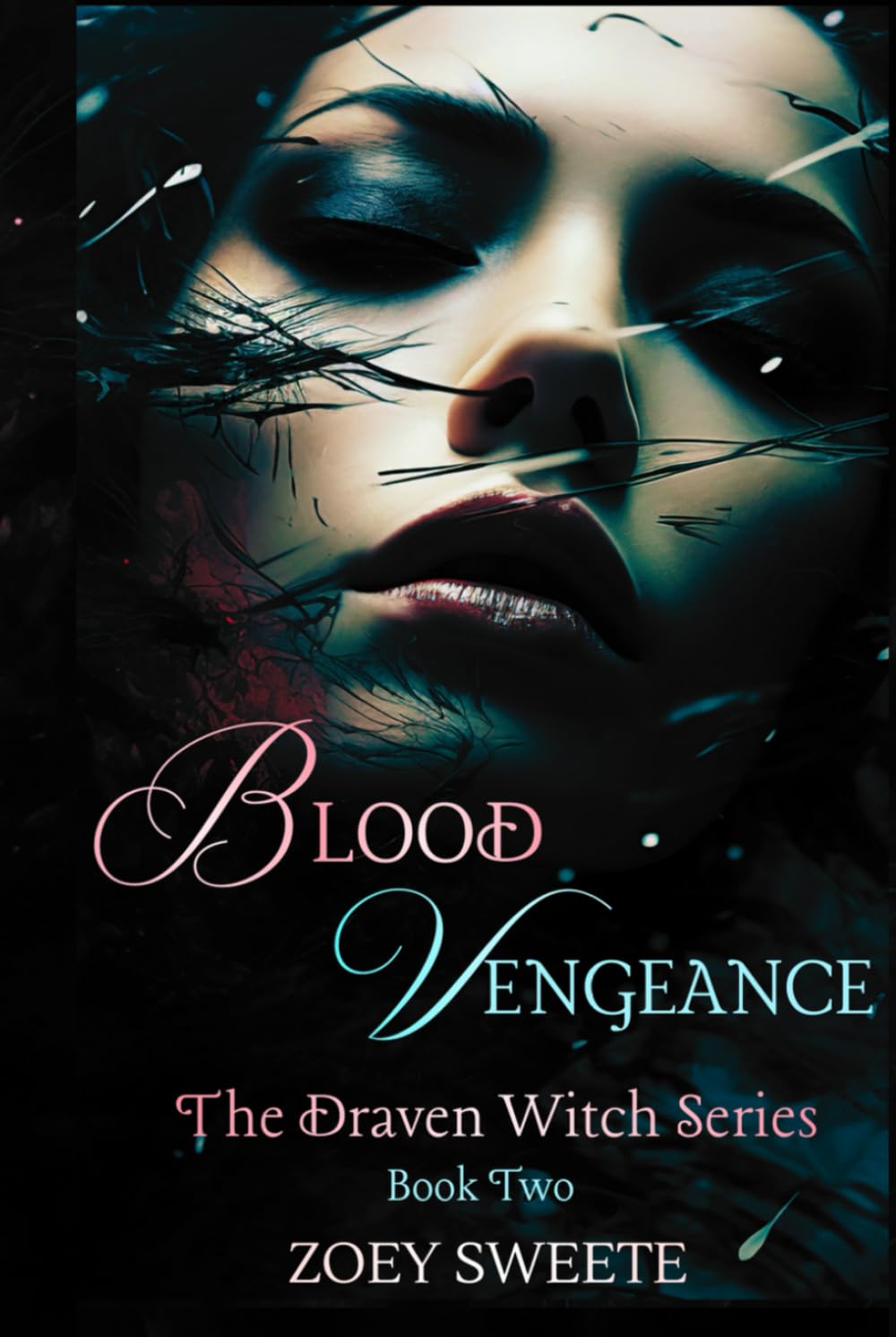 Blood Vengeance The Draven Witch Series Book Two