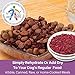 Olewo Original Red Beets for Dogs – Natural Skin & Coat Dog Food Topper, Anti Itch, Dehydrated Vegetables, Whole Food Supplements & Vitamins, Fiber for Dogs, 5.5 lbs