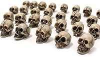 Vista 1 de BinaryABC Mini Skull Figurine Miniature Skeleton Head Table Decor,Halloween Micro Landscape Figure,Halloween Prank Props,Haunted Dollhouse