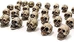 BinaryABC Mini Skull Figurine Miniature Skeleton Head Table Decor,Halloween Micro Landscape Figure,Halloween Prank Props,Haunted Dollhouse Accessories,20PCS