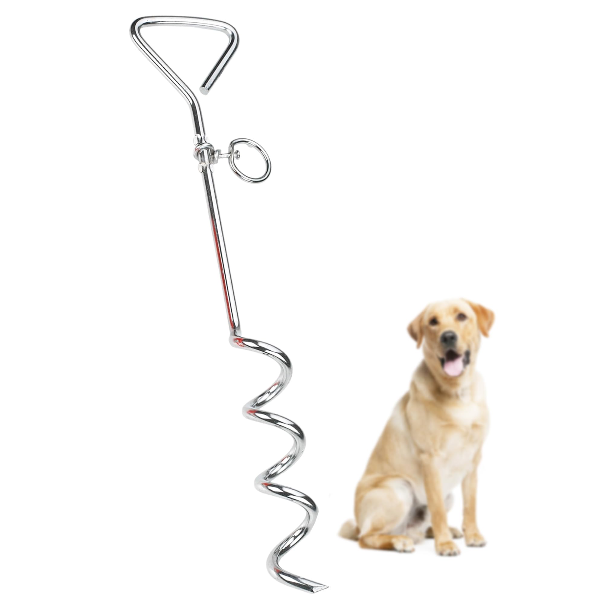 SunGrow Galvanisé Tie Out Leash Stake Anneau Rotatif à 360 degrés, 16,4 x 3,2 Pouces, Conception de Foret en Spirale, Facile à Utiliser et Pratique pour Sortir, Convient aux Chiens jusqu'à 80 Livres