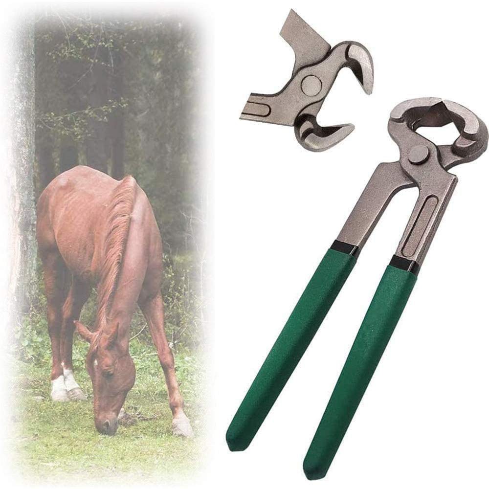 Cortador de pezuñas para herrador de caballos, tijeras de metal equinas, cortador de pezuñas para herradores, cuchillo con mango, suministros estables, alicates de herradura, herramientas de herrado