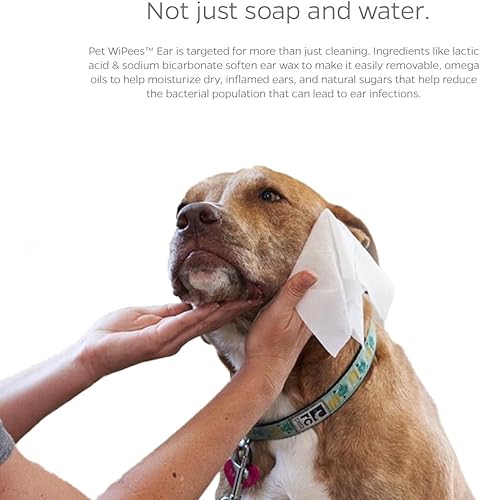 Miniatura 56 de Pet Parents® Pet WiPees™ - Toallitas multiusos para perros + piel y pelaje para mascotas, toallitas para perros, toallitas para perros y cachorros