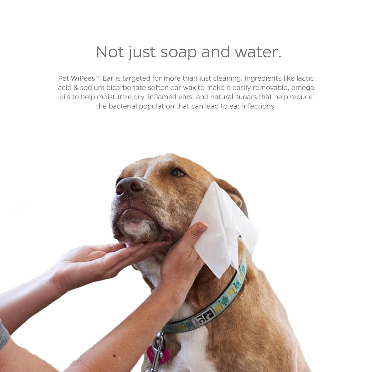 Ear Pet WiPees&trade; – 100 Ear Wipes for Dogs & Cats, All Natural Dog Ear Wipes for Infection & Itchy Ears, Gentle Cat & Dog Ear Cleaner for Daily Hygiene (Natural, 100ct) - image 3