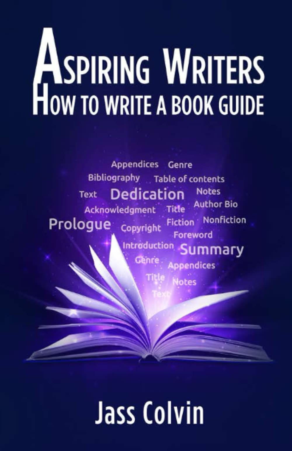 Aspiring Writers How To Write A Book Guide