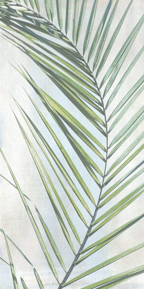 Irene Weisz - Póster (48 x 24 cm), diseño de Palm Escape II