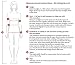 Vivisence Eve 1012 Sujetador Push-Up con Tirantes Y Espalda De Silicona para...
