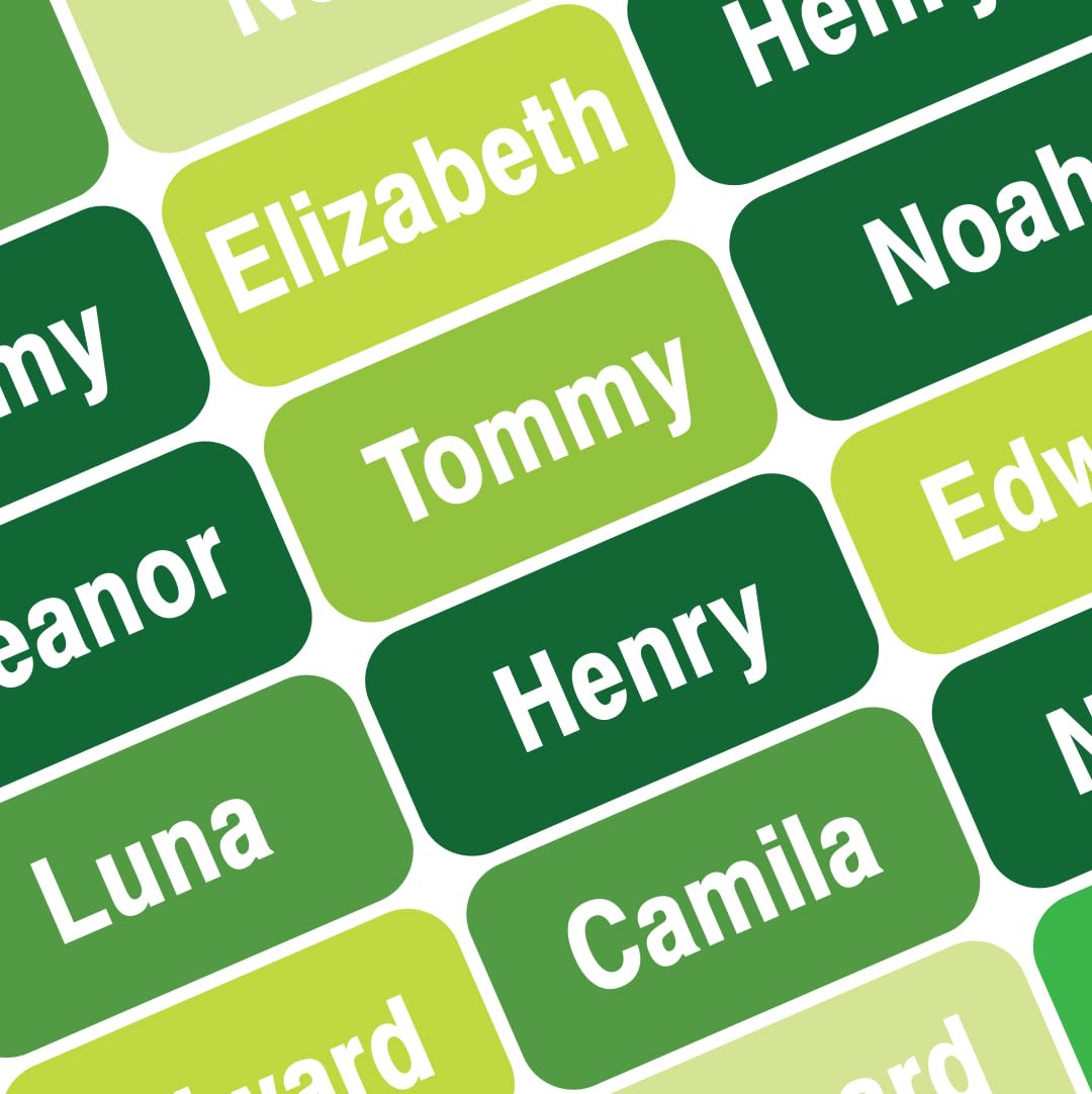 Personalized Waterproof Name Labels Press and Stick Custom Name Stick on Clothing Labels. Customized Up to 3 Lines Great for Camp & Daycare (Green