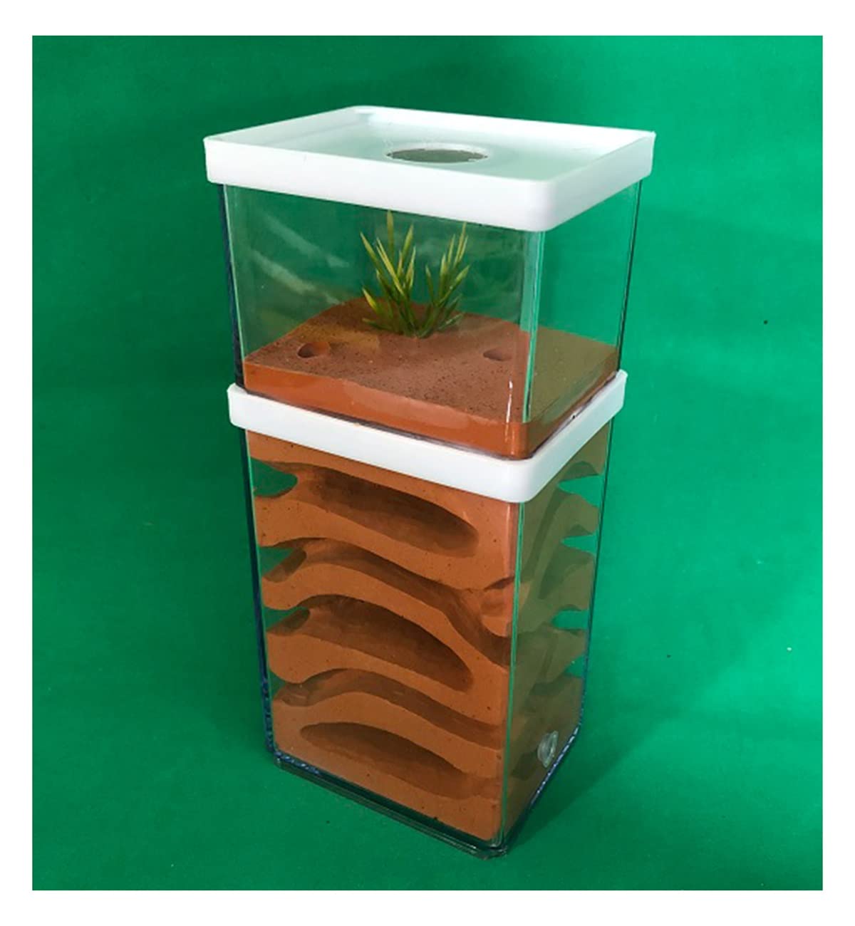 Formicaio Educativo In Acrilico Trasparente Con Torre D'Acqua - Osservazione Formiche - Foto 10