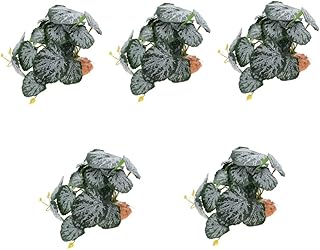 5 Pçs Caixa De Escalada Para Animais De Estimação Paisagismo Pequeno Terrário Répteis Anfíbios Plantas De Plantas De Terrário De Plástico Para Habitats De Répteis Plantas De