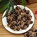 BigOtters 100 PCS Artificial Acorn, Fake Nutty Craft Acorns with Natural Acorn Cap Simulation Fruit Props for Vase Filler, Home House Autumn Favor, Thanksgiving Day Christmas Wedding Decor