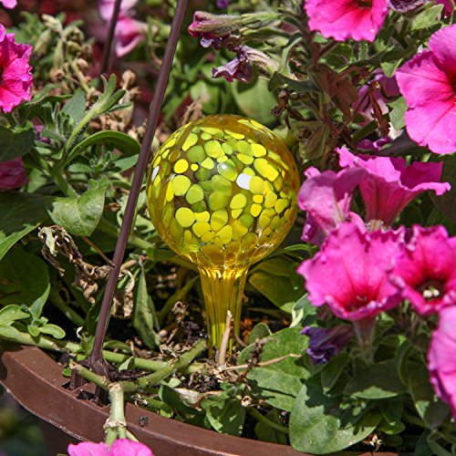 Miles-Kimball-Set-of-6-Small-Multicolored-Glass-Plant-Watering-Globes-Each-Measures-6-L-x-25-D