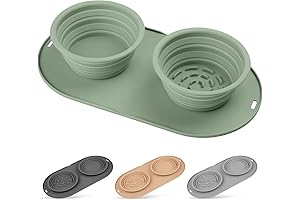 Portable Travel Puppy Bowls: Leak-Proof Collapsible Double Dog Bowl for Small & Medium Breeds (Green)