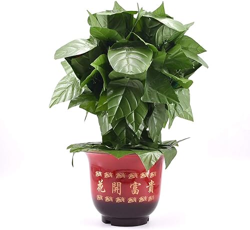 Miniatura 4 de SUMAG Blooming Rose Bush - Control remoto (10 flores, versión de batería) Trucos de magia de flores que aparecen en escenario, fiesta, boda,