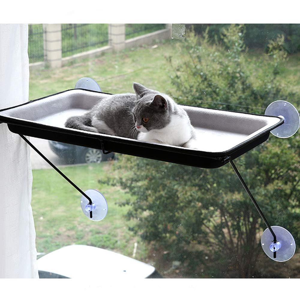 Cat Hammocks Window Bed, 60 x 32 x 5cm Perch Cat Bed Sunshine Seat Durable Cat Window Mounted Bed With 4 Big Suction Cups for cat perch