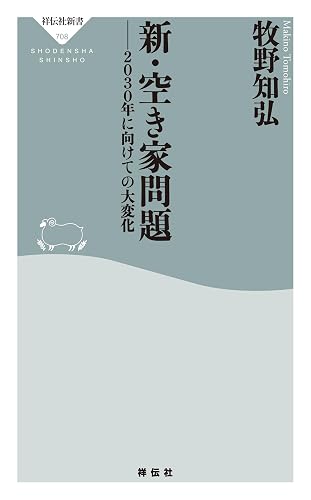 新・空き家問題 ――2030年に向けての大変化 (祥伝社新書)