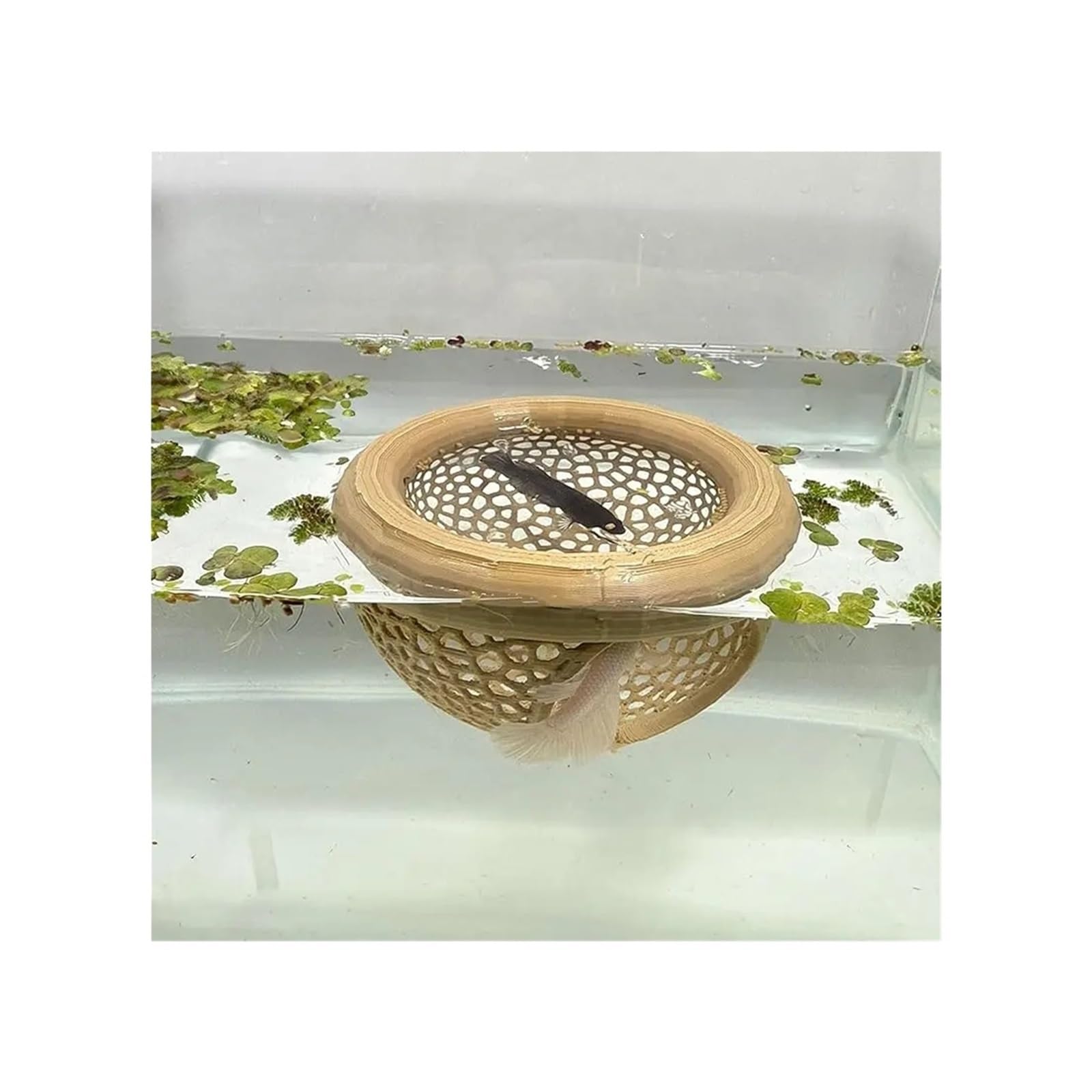 pureza 2PCS Aquarium Floating Cave Fish Shrimp Hideout Shelter 3-in-1 Hammock Feeding Circle Resting Spot for Small Aquatic