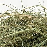 Generico B0FLWJFLZP lato 2