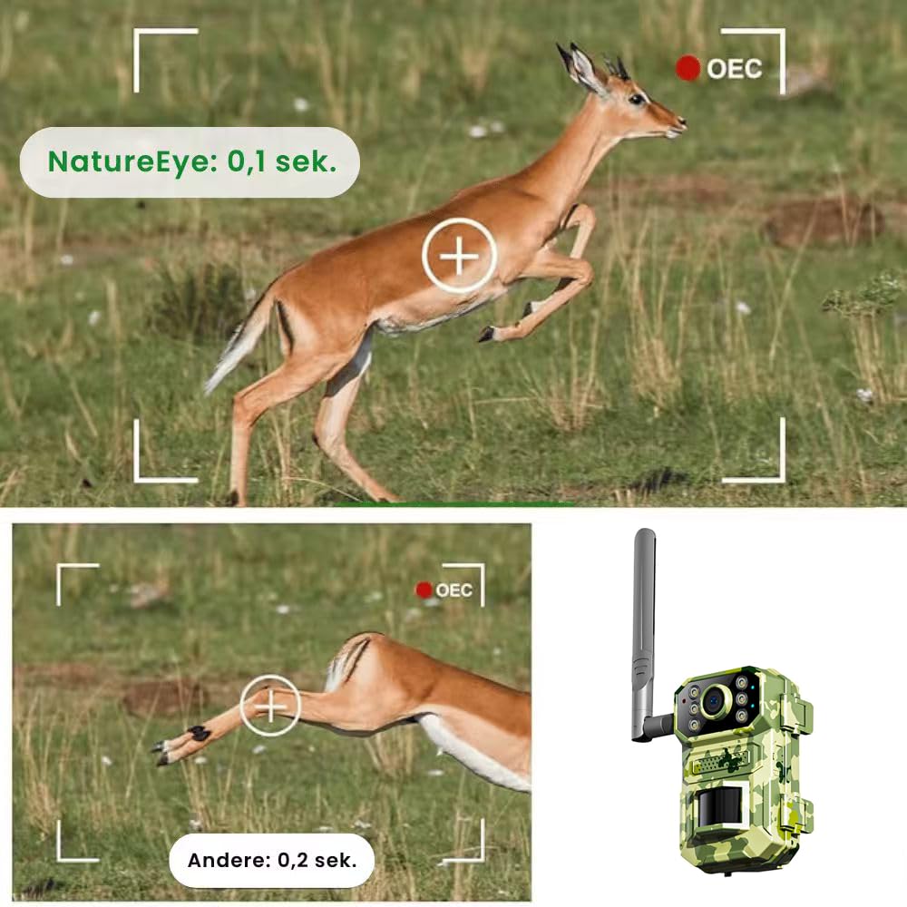 Beyerswerk NatureEye Pro 4K Wildkamera mit Bewegungserkennung, Solarladepanel, 4G LTE, Weitwinkelüberwachung für Außenbereich - Überwachungskamera für Outdoor