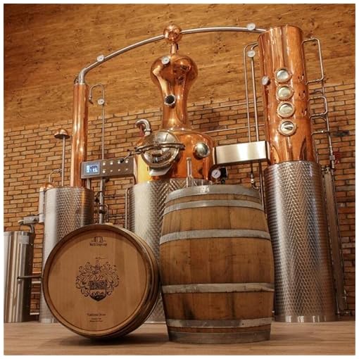 Schlehen Gin 24% Vol. (1 x 0,5 l) - Bergwelt Brennerei aus dem Allgäu ...