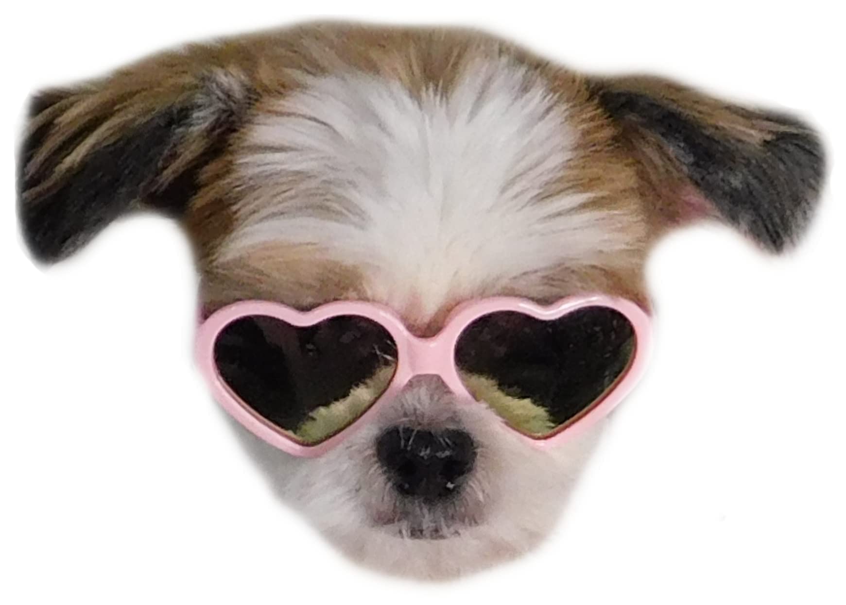 G016 Dog Cat Pet Heart Sunglasses Glasses for Small Breed up to 15lbs (Heart Pink-Pink Mirror)