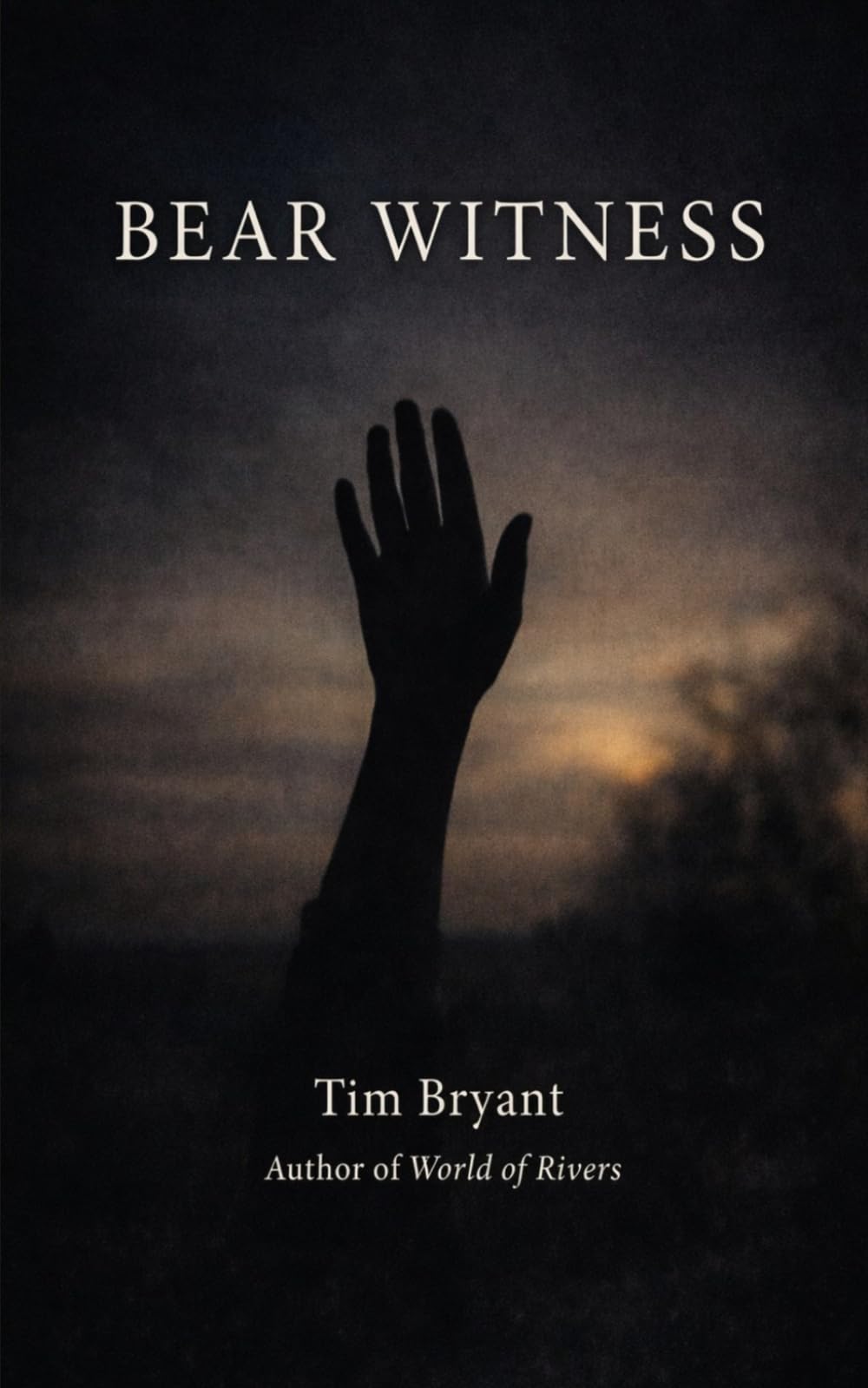 Bear Witness: Poems