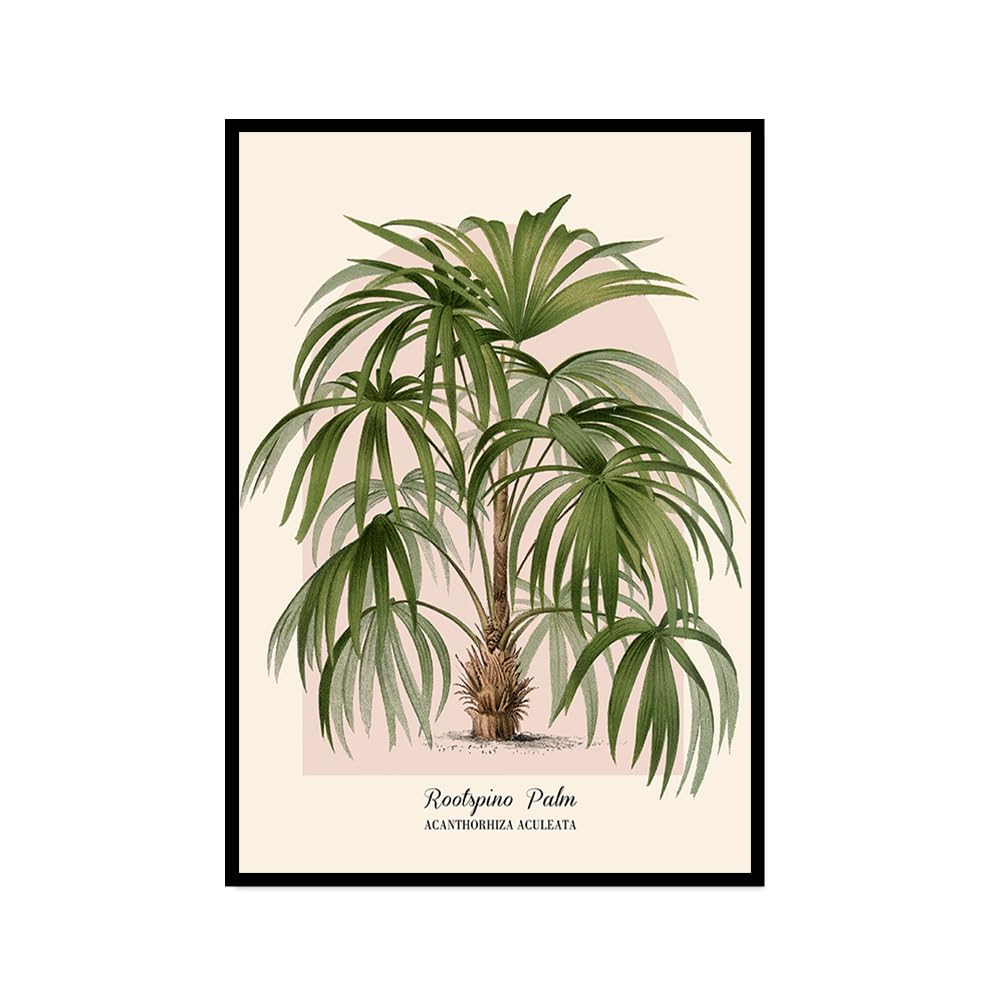 Vintage palma botaniczne wydruki ścienne, tropikalna roślina plakat na