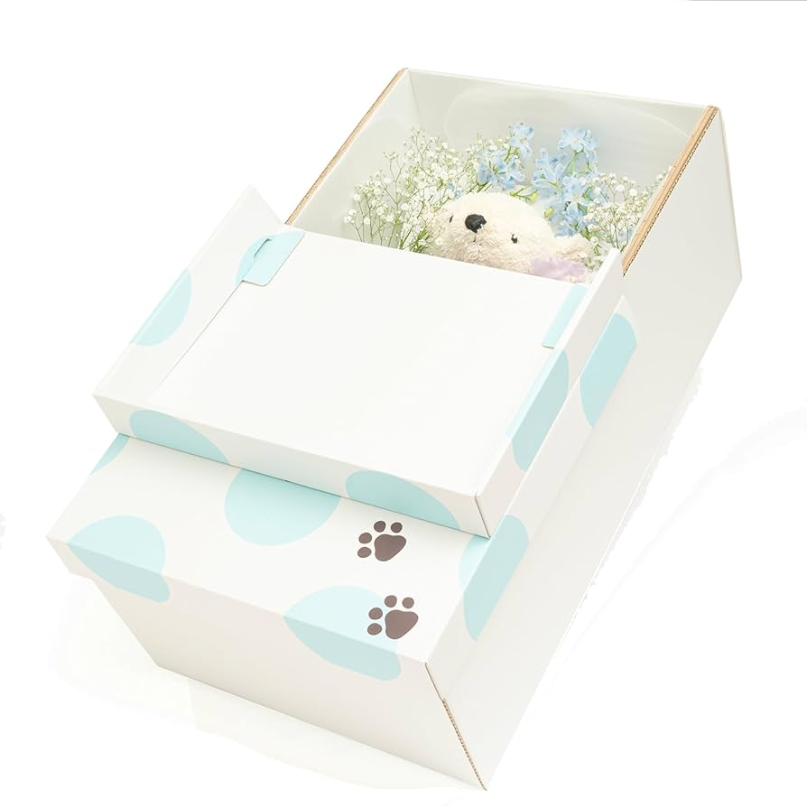 中学生棺桶 例のK CD 7枚セット 2025年最新】中学生棺桶の人気アイテム - メルカリ