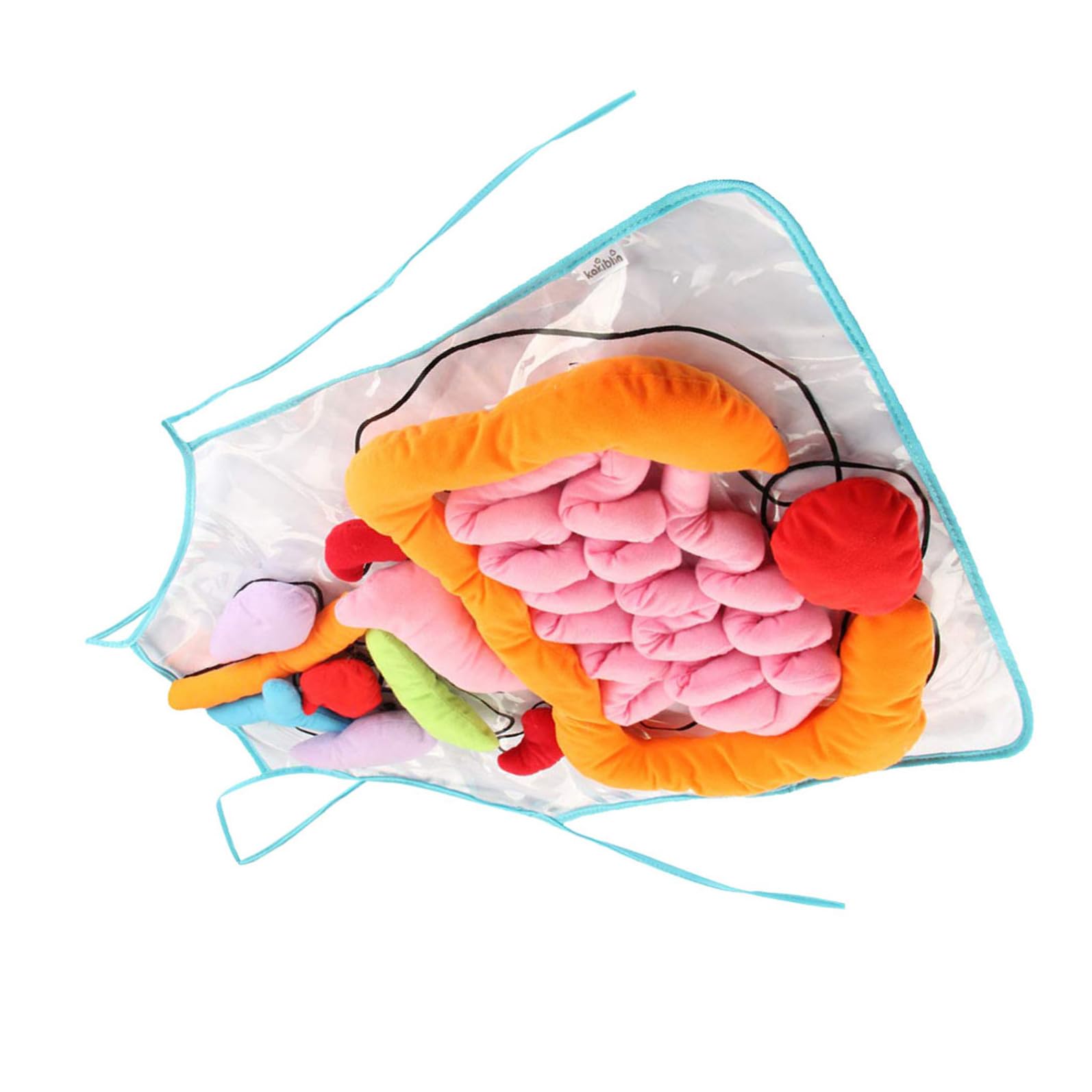 Delantal de Anatomía para Niños 1 Juego de Poliéster, Material Didáctico