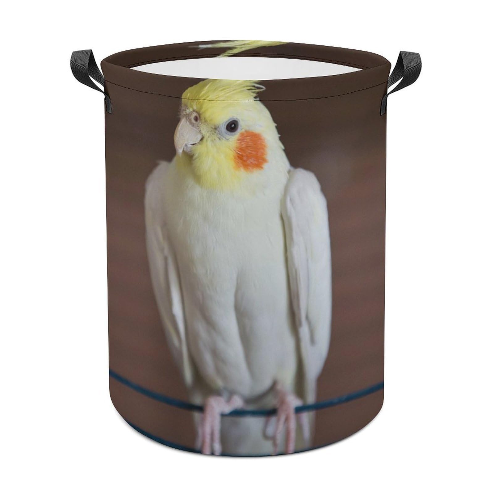 MHYRAC Laundry Hamper, Cockatiel Parakeet Laundry Basket, Washing Basket with Handle