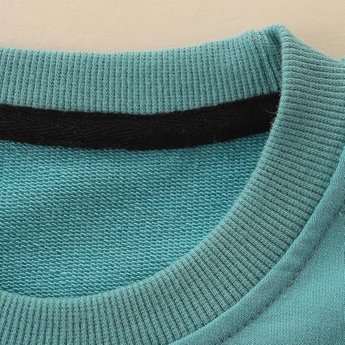 Toddler Boys Sweatshirts Kid Long Sleeve Crewneck Pullover 100% Cotton Tops Cartoon Casual Shirts4