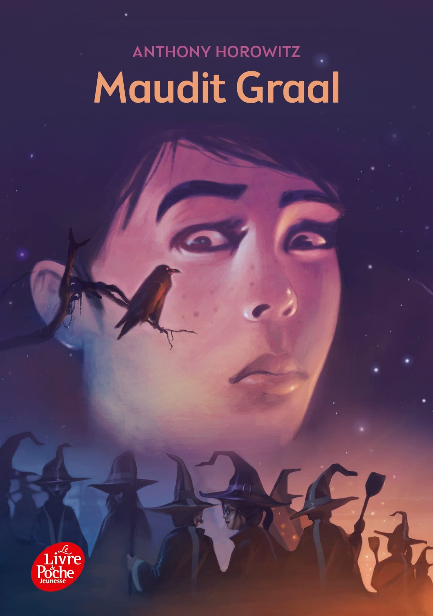 David Eliot 2/Maudit Graal (Livre de Poche Jeunesse)