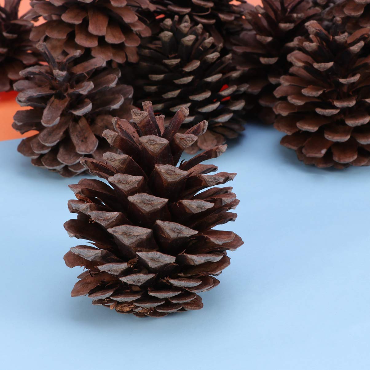 Natürliche Tannenzapfen Ornamente 50 Stück 6-8cm für Weihnachten | Wiederverwendbar, Winterdekoration für Zuhause und Party, Passende Deko für Küche, Vitrine