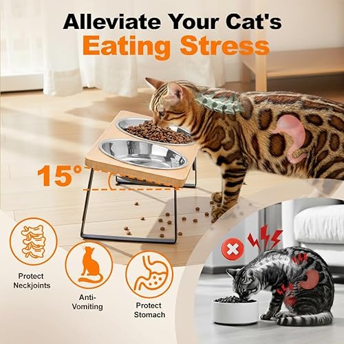 Miniatura 2 de Tazones elevados para alimentos y agua para gatos  Tazón elevado de acero inoxidable inclinado en 15 con soporte de bambú y estación de alimentación