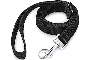 Simple Dog Leash for Small and Medium Breeds: Durable 5FT Black Lead