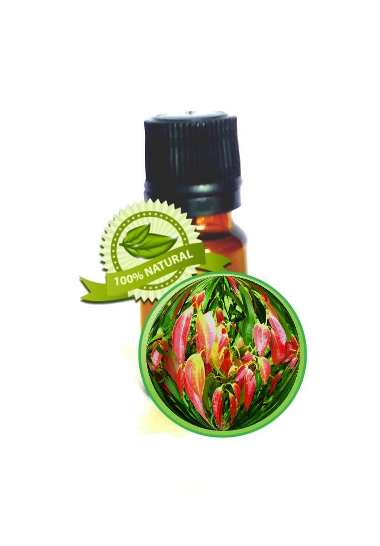 Cinnamon Leaf Essential Oil - Cinnamomum verum - 5ml (1/6oz)
