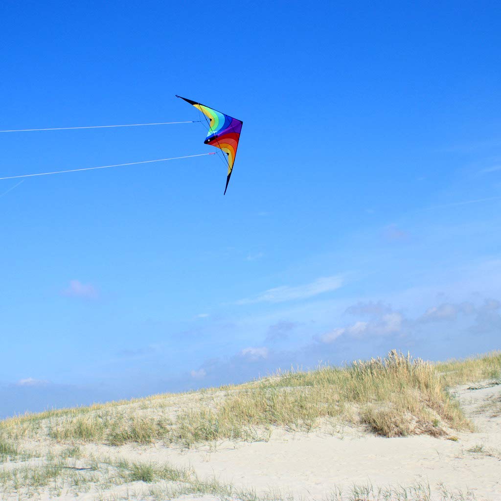Wolkenstürmer Kinder Lenkdrachen Fancy - Parent