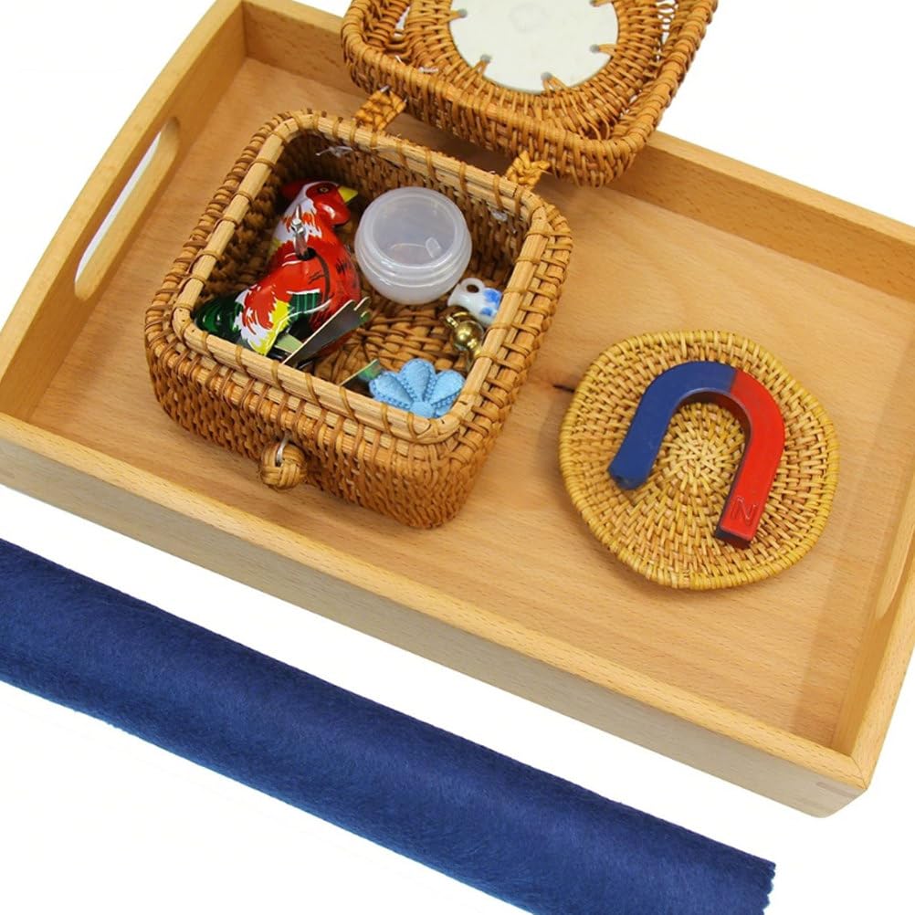 Montessori Magnet-Wissenschaftsarbeitsset, U-förmiger Magnet & sensorisches Entdeckungsspielzeug für Kleinkinder ab 3 Jahren