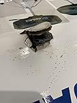 Review Image by Amazon Customer