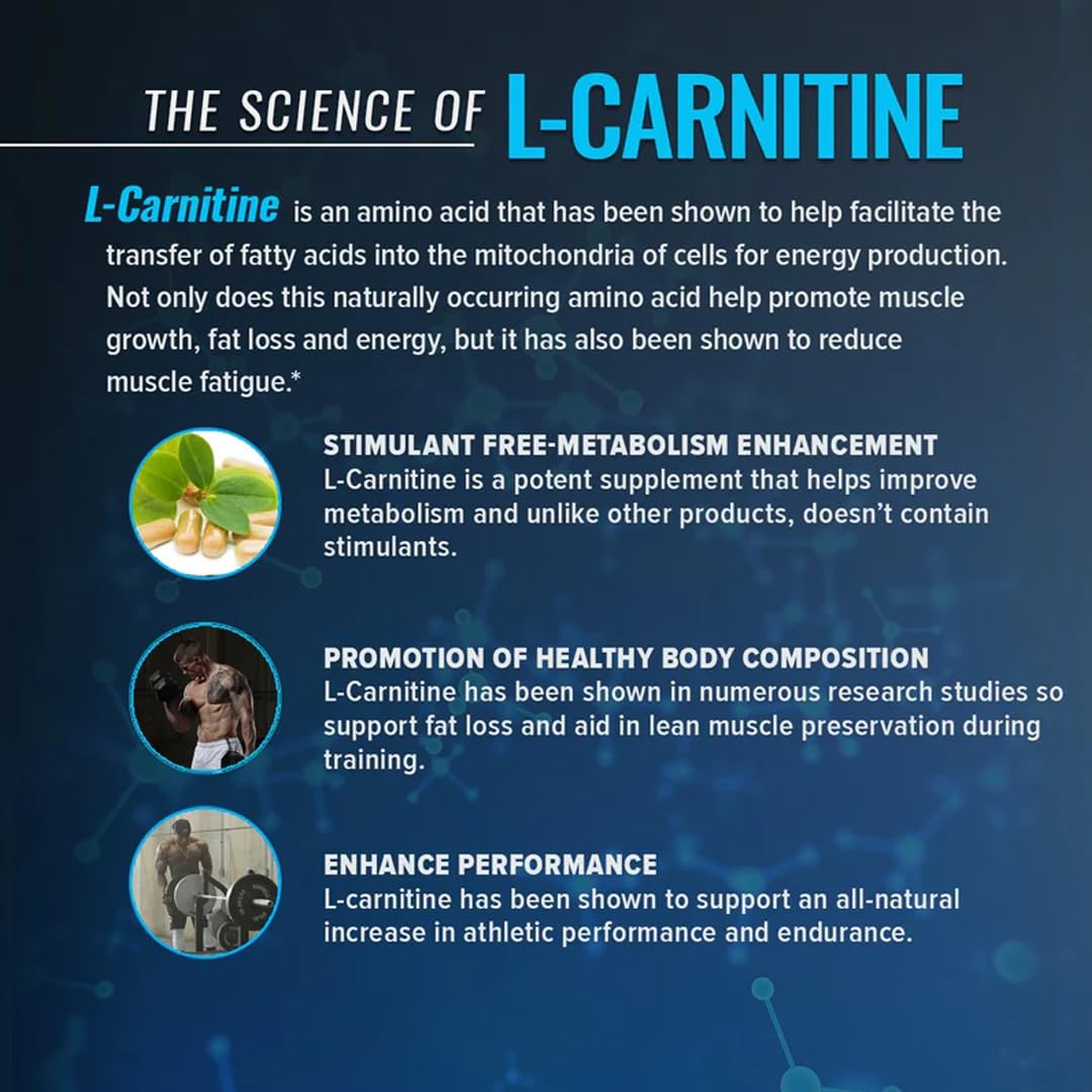 l carnitine 3500 mg benefits Eligator L Carnitine Liquid 3500mg Converts Fat Into Energy Pre
