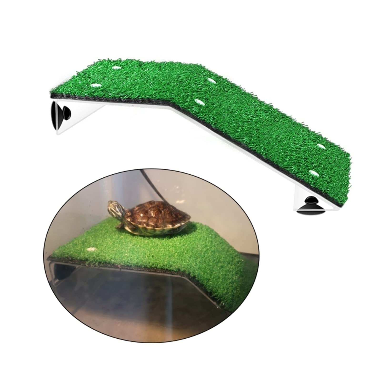 Acquario per Tartarughe Scatola di alimentazione for prendere il sole Piattaforma galleggiante con tappeto erboso Crawl Dock Crawl Rest Island Acquario Rettili Decorazioni Tartarughiera/Aquarium ( Col