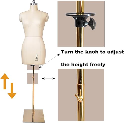 Miniatura 3 de lavandeform Maniquí de costura femenino, Talla 12, forma de vestido profesional para exhibición y diseño de sastre, cuerpo de espuma de maniquí de